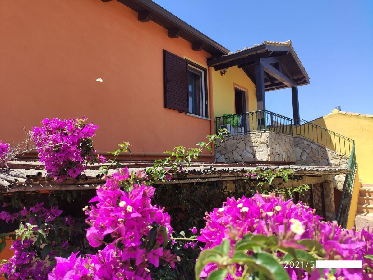 Apartament Il Fenicottero 2 Masainas Zewnętrze zdjęcie